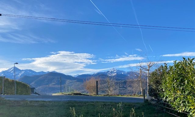 IMG_6128
