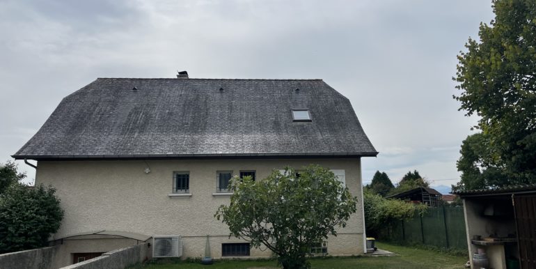 IMG_4317